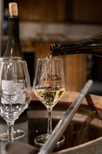 Dégustation de muscadet du domaine (©Bénédicte Lacroix)