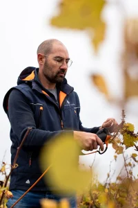 Taille du Melon de Bourgogne (©Bénédicte Lacroix)