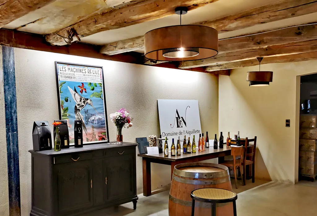 Wine tasting at the estate